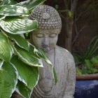 Een Boeddhabeeld in huis of tuin