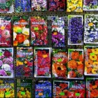 Honderden soorten bloemzaden voor fleurige tuin en balkon