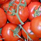 Tomaten kweken, een hoge productie halen