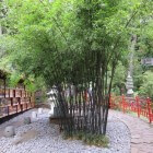 Het magische en functionele van bamboe