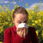 Allergievrij wonen: huisstofmijt, huisdieren en schimmels
