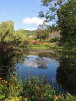 De watertuin van Claude Monet in Giverny / Bron: Agerezs, Pixabay