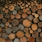 Tips over goedkoop brandhout vinden
