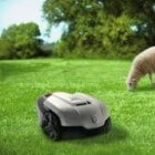 De automatische grasmaaier: over gemak, milieu én mulching