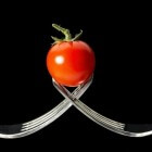 Tuinieren; tips en trucs voor het telen van tomaten