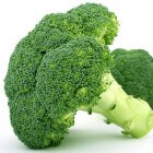 Je eigen moestuin: Broccoli