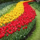 Tuinbeurzen, tuinfairs en tuinmarkten in Nederland en België