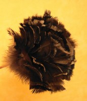 Ouderwetse korte plumeau met veren / Bron: Mzelle Laure, Wikimedia Commons (CC BY-2.5)